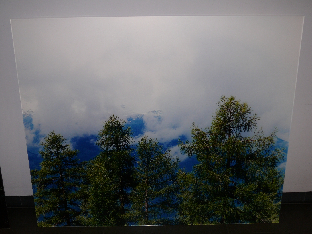 Timtschenko - Landschaft mit mehreren Fichten