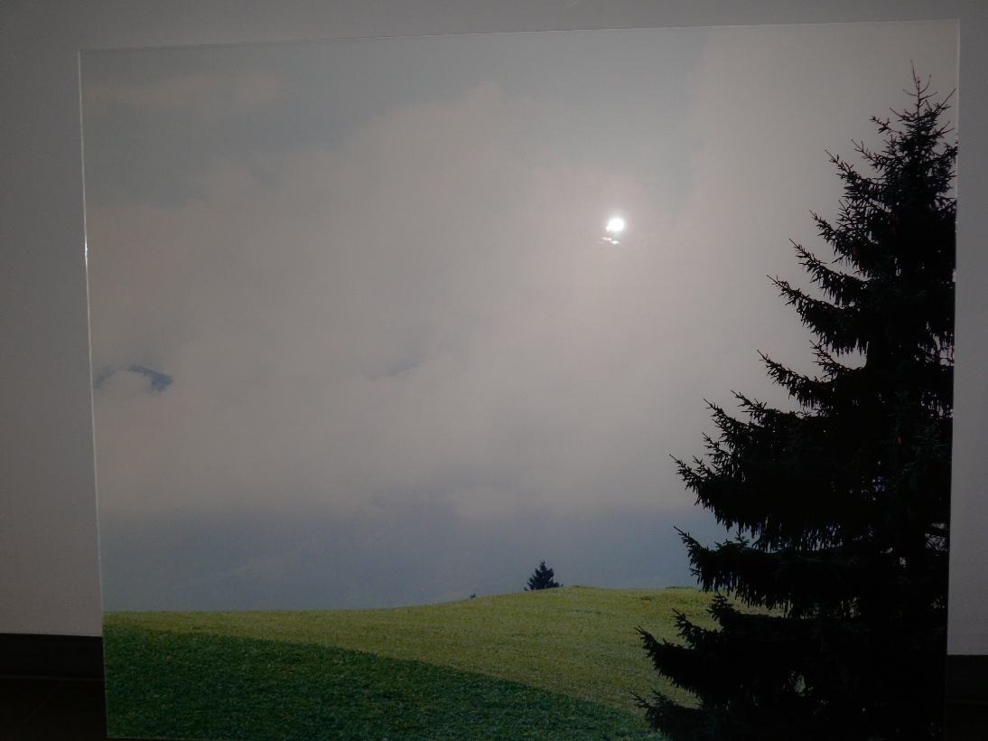 Timtschenko 1103 - Landschaft mit zwei Tannen