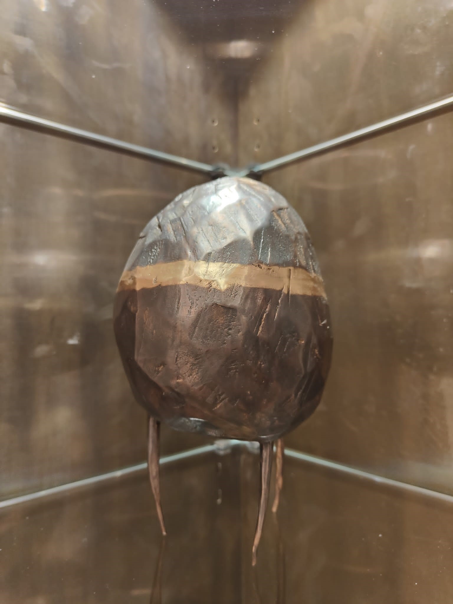 Haberpointner - o.T. (Ei) 2022 Ansicht