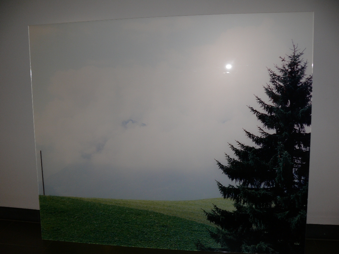 Timtschenko 817 - Landschaft mit Tanne