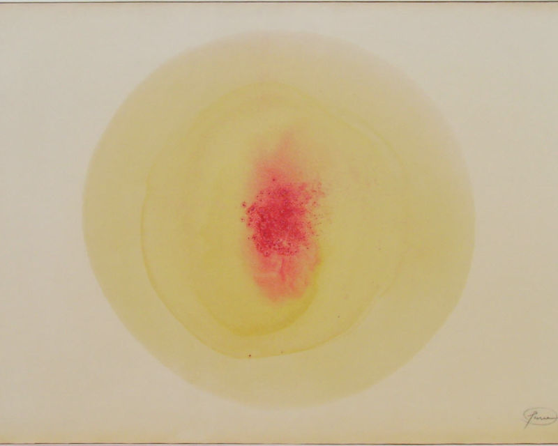 Piene - gelb-rote Frucht_1963