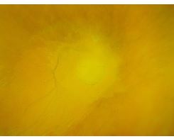 Piene - Yellow Space 514