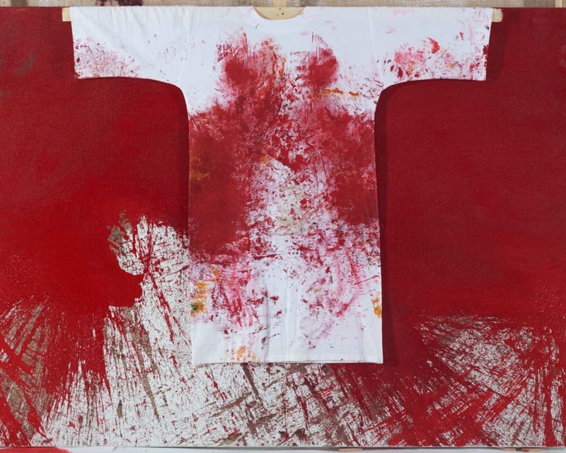 Nitsch - Schüttbild