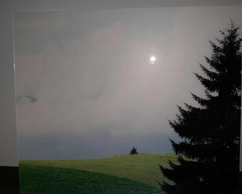 Timtschenko 1103 - Landschaft mit zwei Tannen