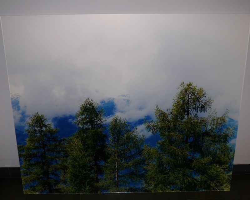 Timtschenko - Landschaft mit mehreren Fichten