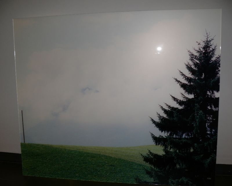 Timtschenko 817 - Landschaft mit Tanne