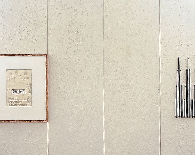 Fulton (1118+1119) F02 Mountain Skylines